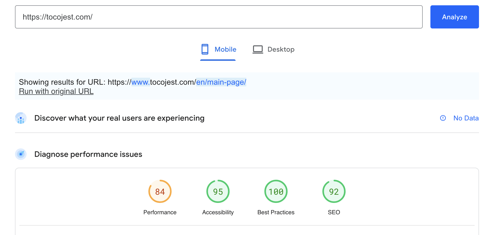 PageSpeed Insights Report Example 